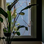 酒店 Lu Boutique Hotel
