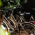 Lu Boutique Hotel 酒店 切尔维亚