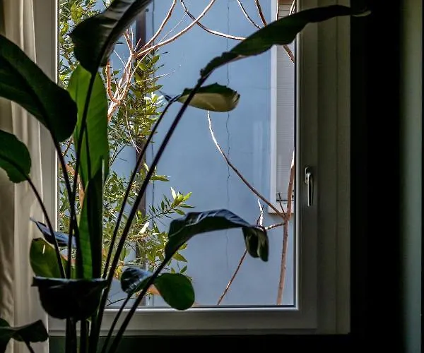 Hotel Lu Boutique Hotel