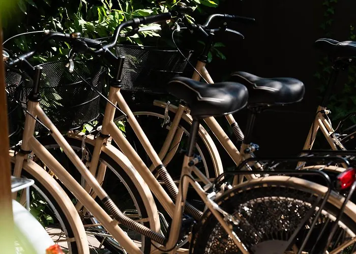 Lu. 호텔 체르비아